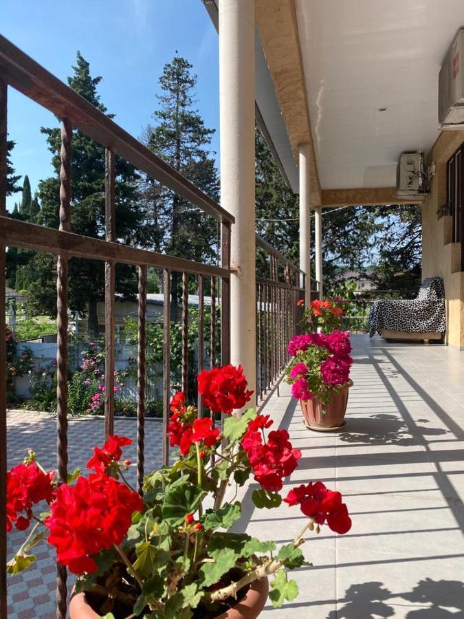 Mechta Guest House Цандрипш Екстериор снимка